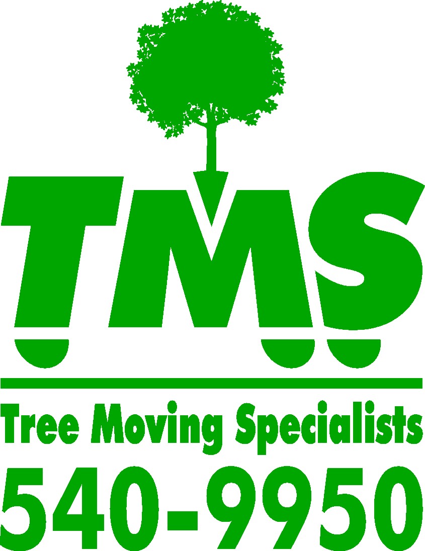 TMSLogo.jpg